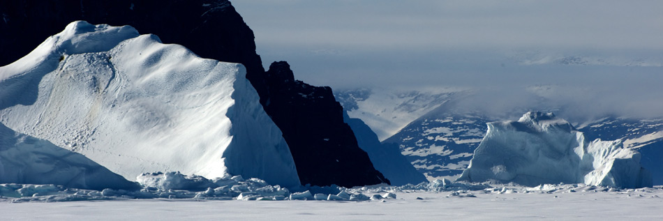 Michael Martin - Shop - Kalender