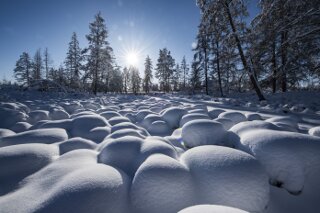 Winterliche Taiga, Russland