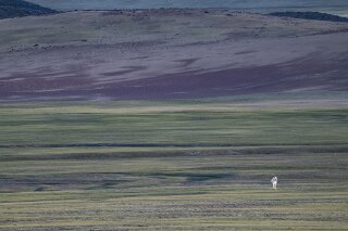Steppe in Zavkhan, Mongolei