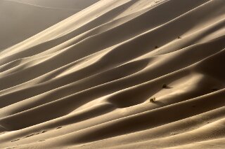 Dnen, Rub al Khali, Saudi Arabien
