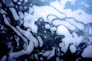 Eisstruktur, Antartica