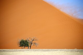 Dne in der Namib, Namibia