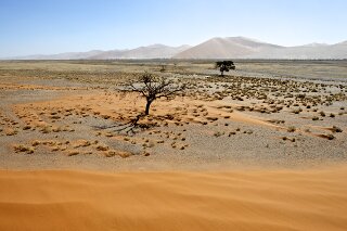 Tsauchab-Trockenflusstal, Namibia