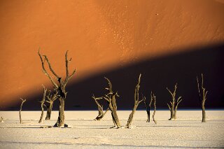Dead Vlei, Namib, Namibia