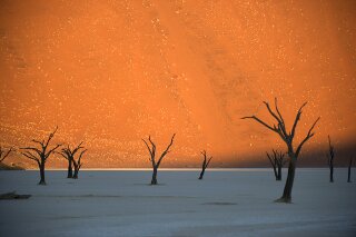 Dead Vlei, Namib, Namibia