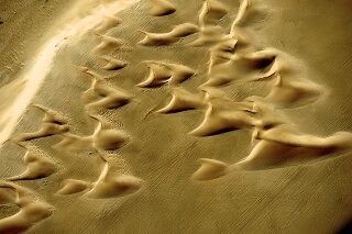 Sicheldnen, Namib, Namibia