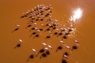 Laguna Colorada, Bolivien