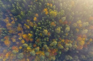 Herbst, Osterseen, Deutschland