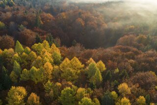 Herbst, Osterseen, Deutschland