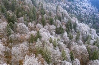Winter, Ammergebirge, Oberbayern